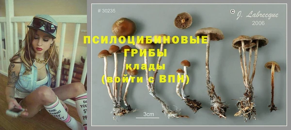 альфа пвп Заволжье