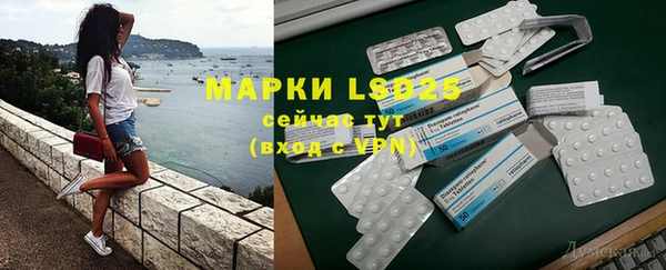 ПСИЛОЦИБИНОВЫЕ ГРИБЫ Чекалин