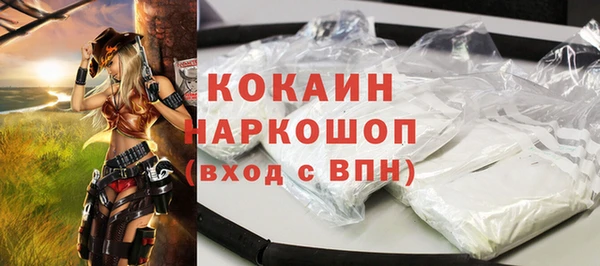 стаф Инсар