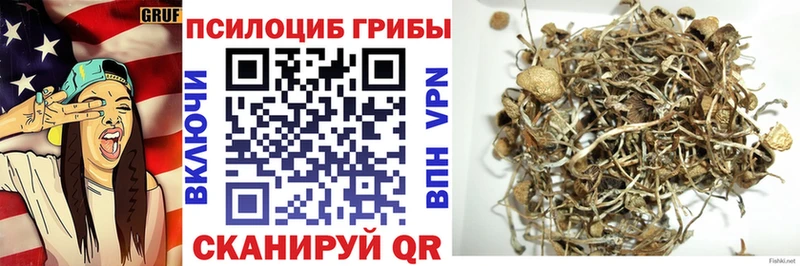 Псилоцибиновые грибы Magic Shrooms  закладки  Кинешма 