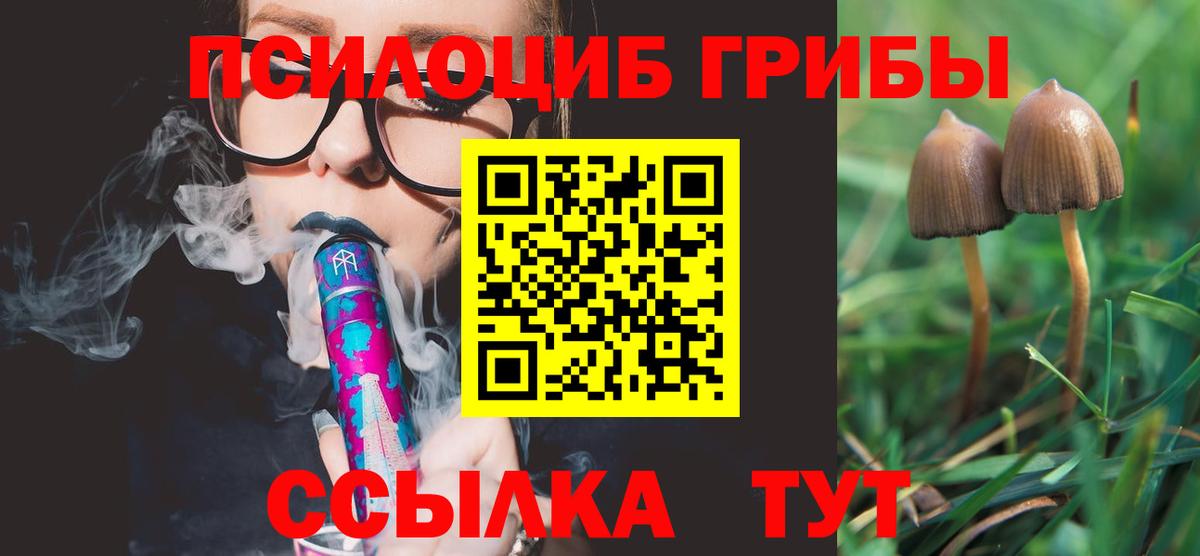Кинешма  Псилоцибиновые грибы мицелий  Вход с VPN  где купить   Псилоцибиновые грибы Psilocybine cubensis 